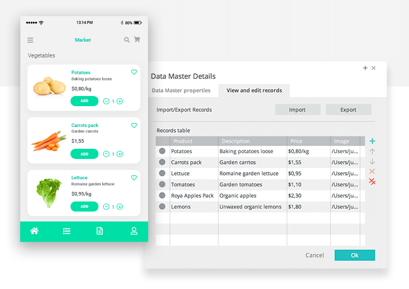 justinmind data master