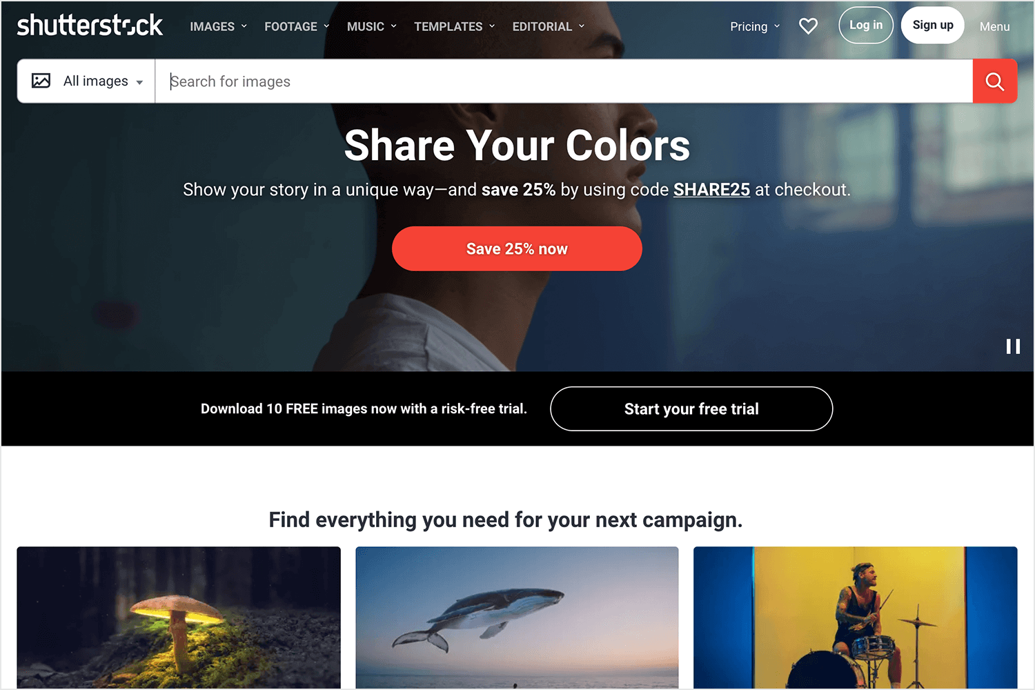 shutterstock as paid image bank