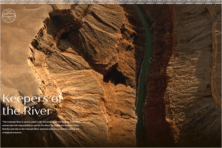 usability of video backgrounds in websites