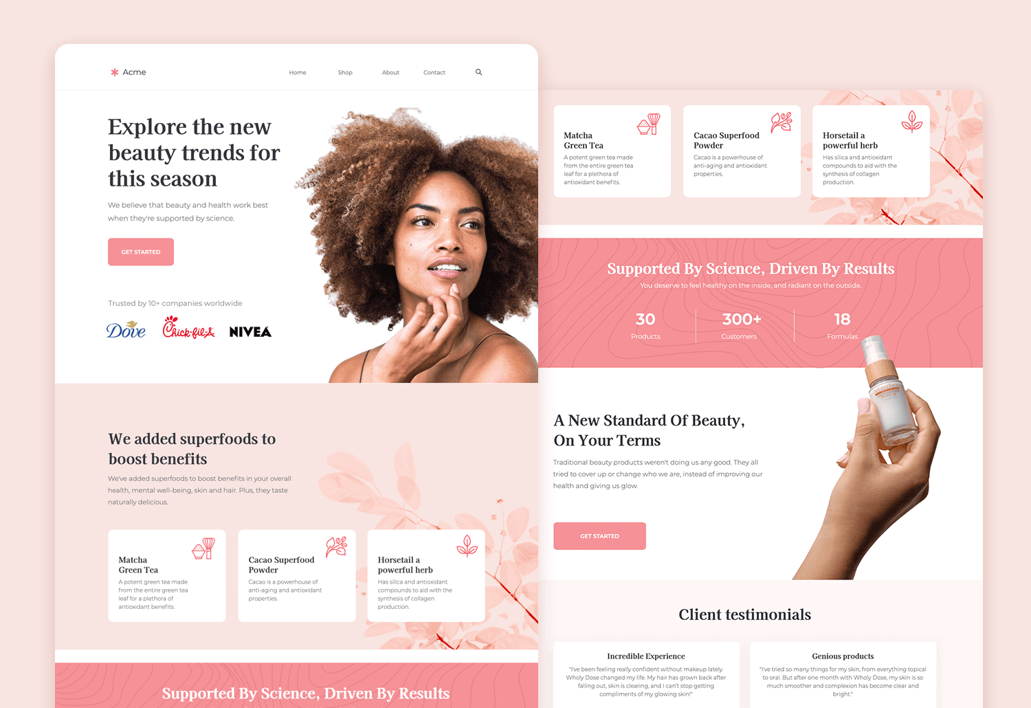 website mockup examples - beauty