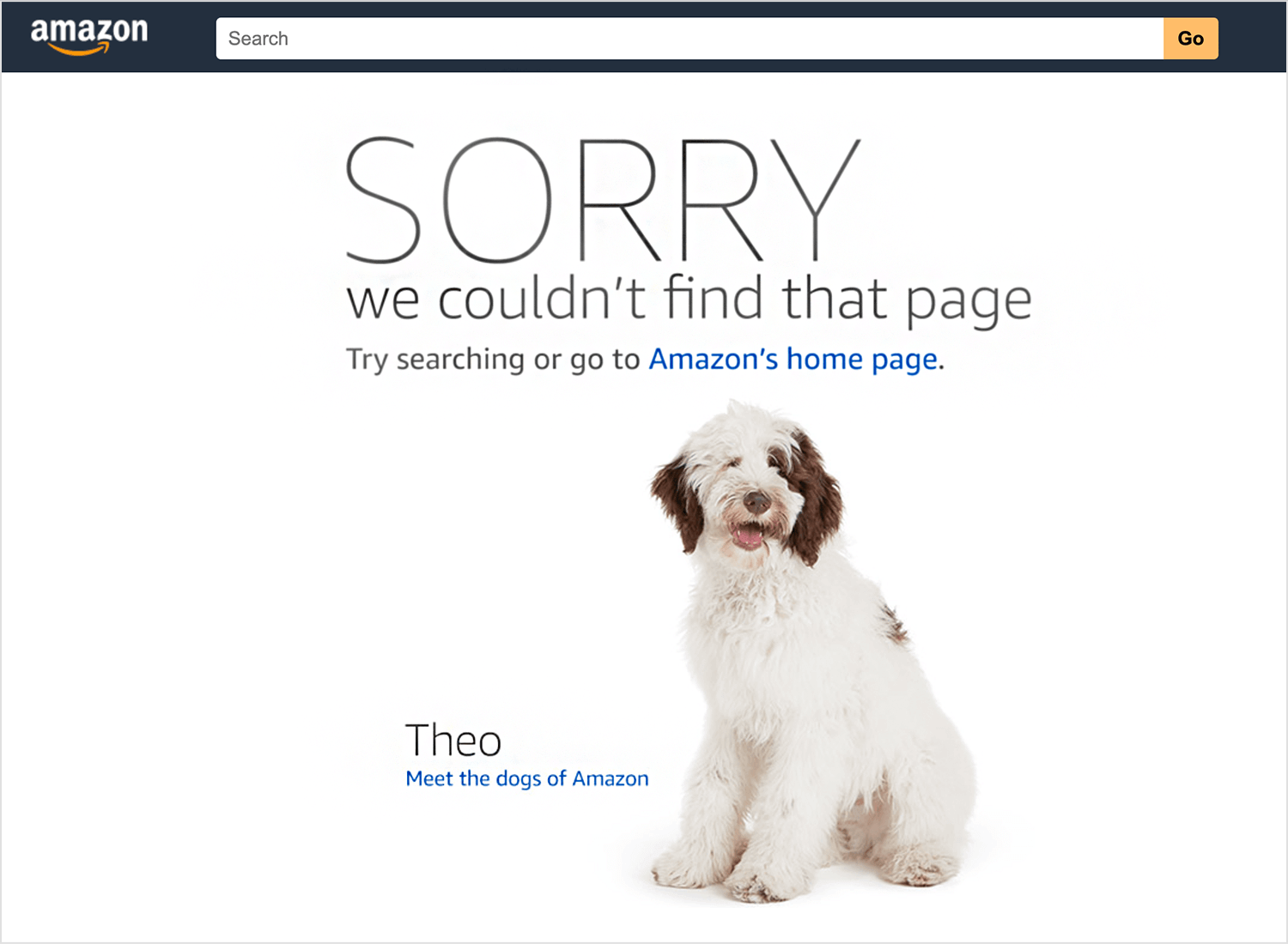 Amazon 404 error page featuring Theo, one of Amazon's dogs