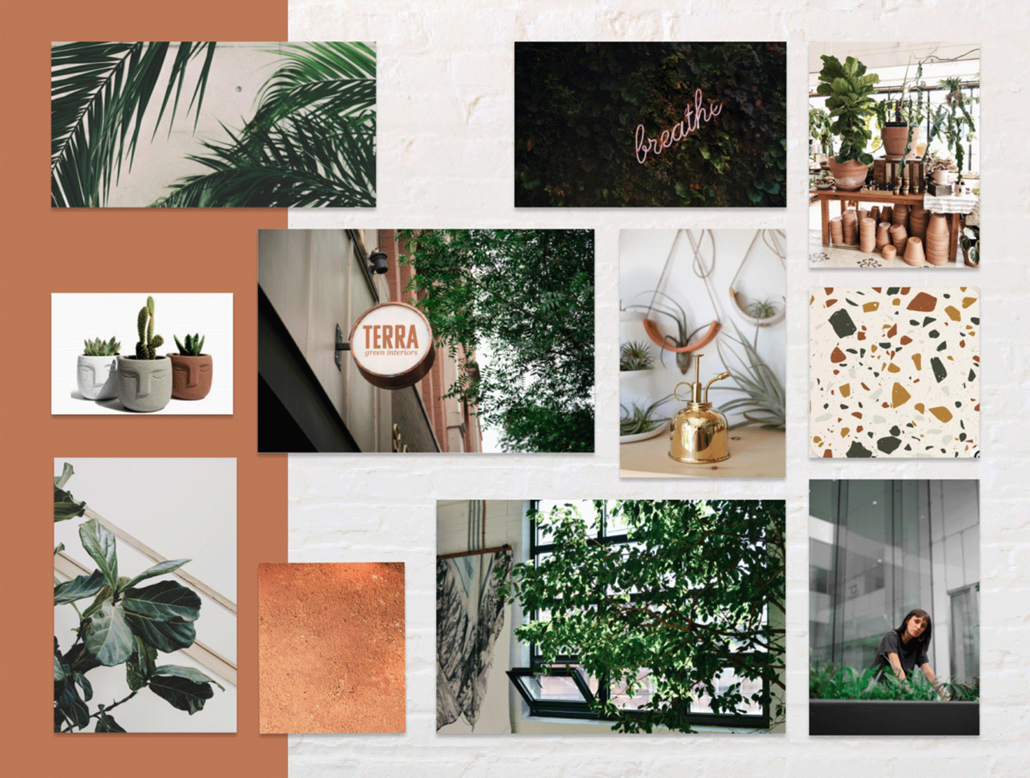 mood board examples urban plant - boutique