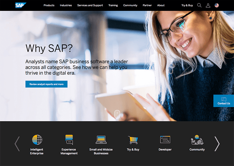 sap erp 6.0 ui kit