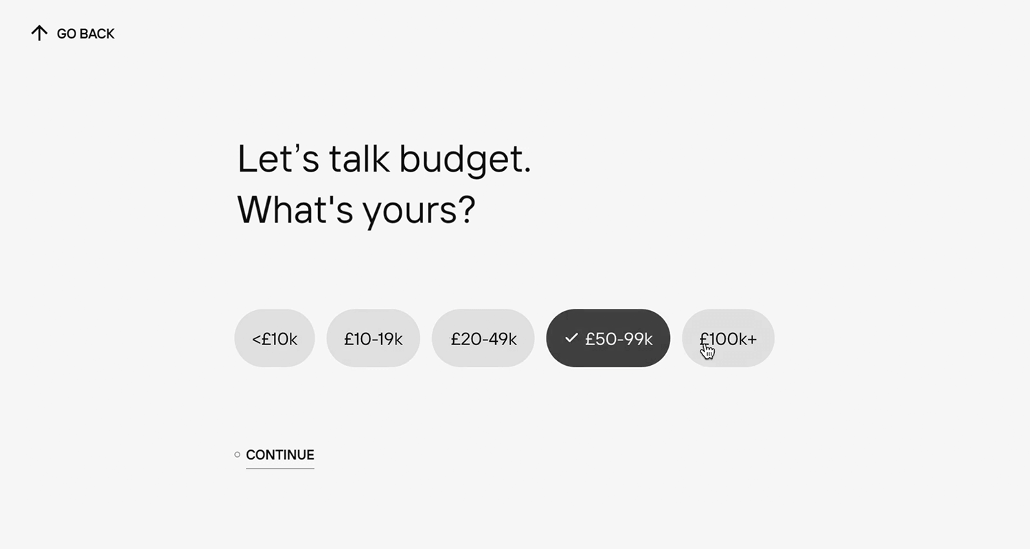 Interactive radio buttons for selecting budget range options