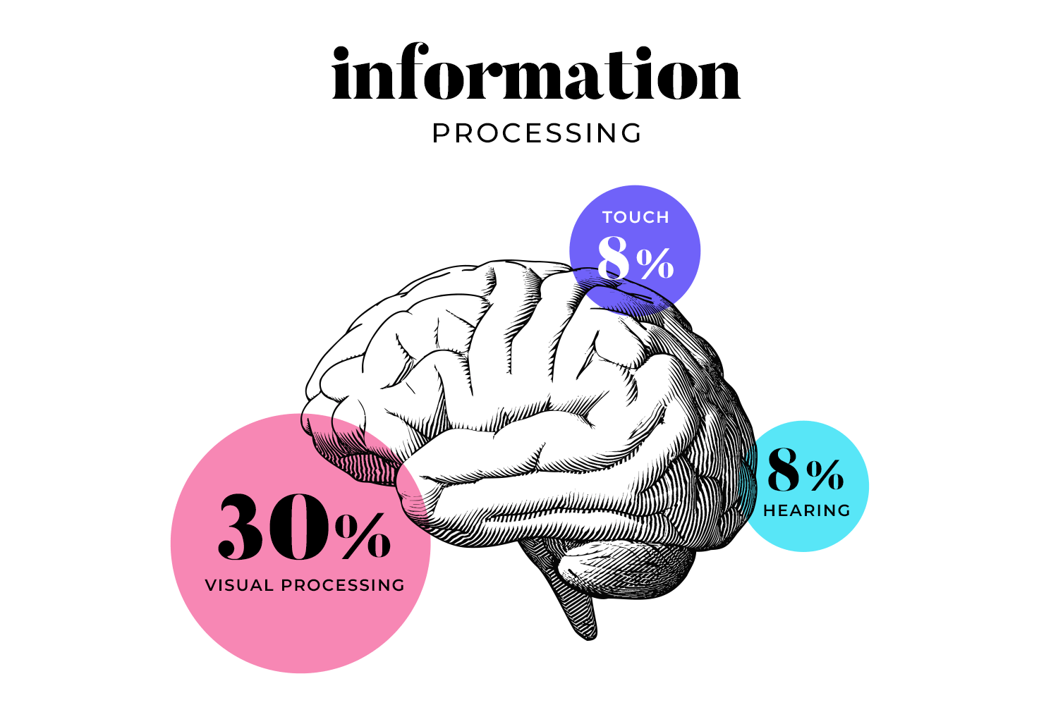 visual storytelling science