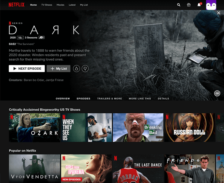 Bad UI design websites with good UX - Netflix