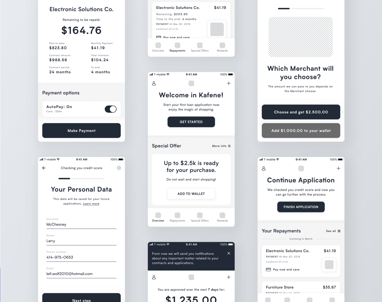 example of an app wireframe that is data-heavy