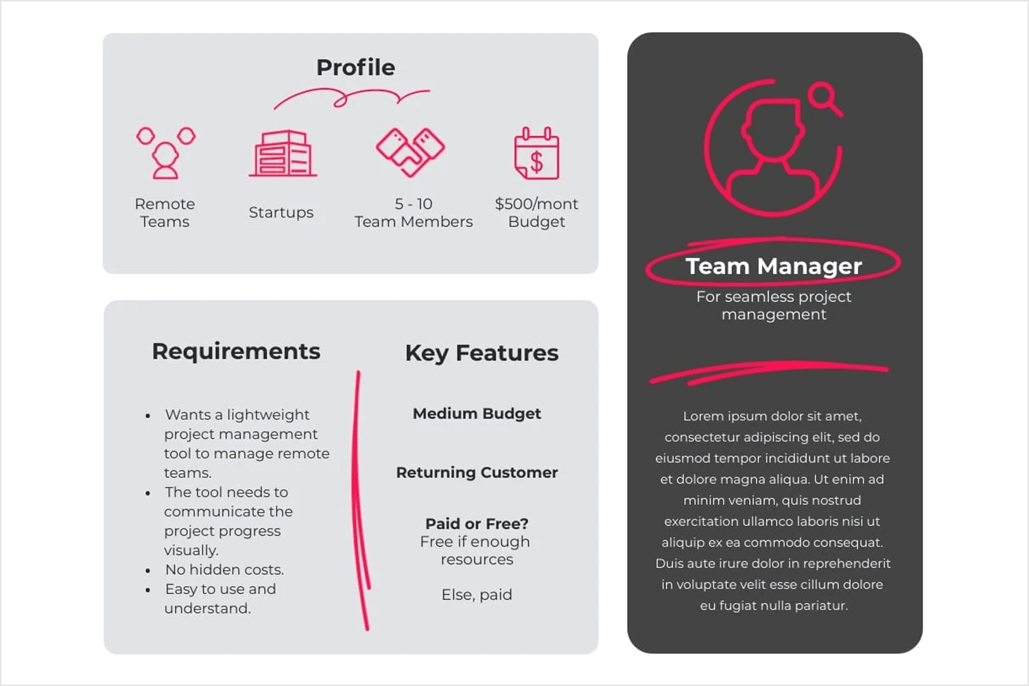 Team manager persona profile with requirements and key features outlined for effective project management