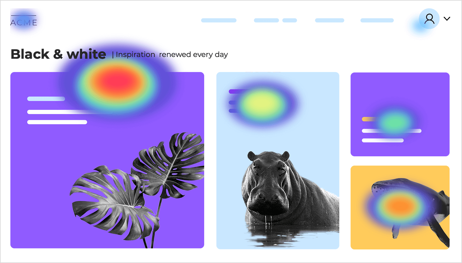 ux audit heatmaps