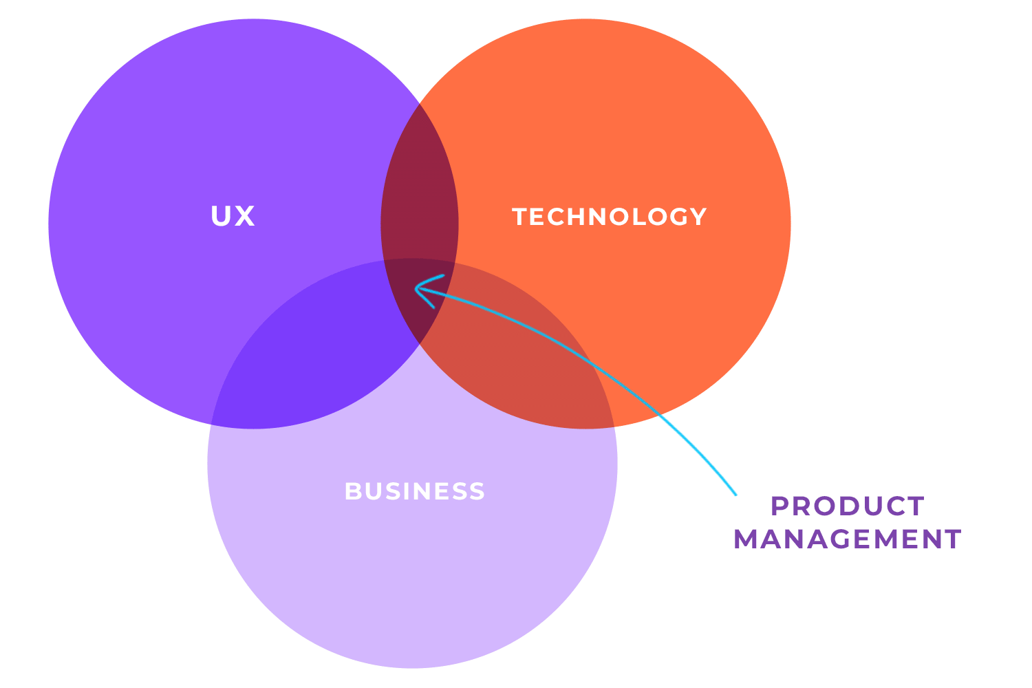 product management what is